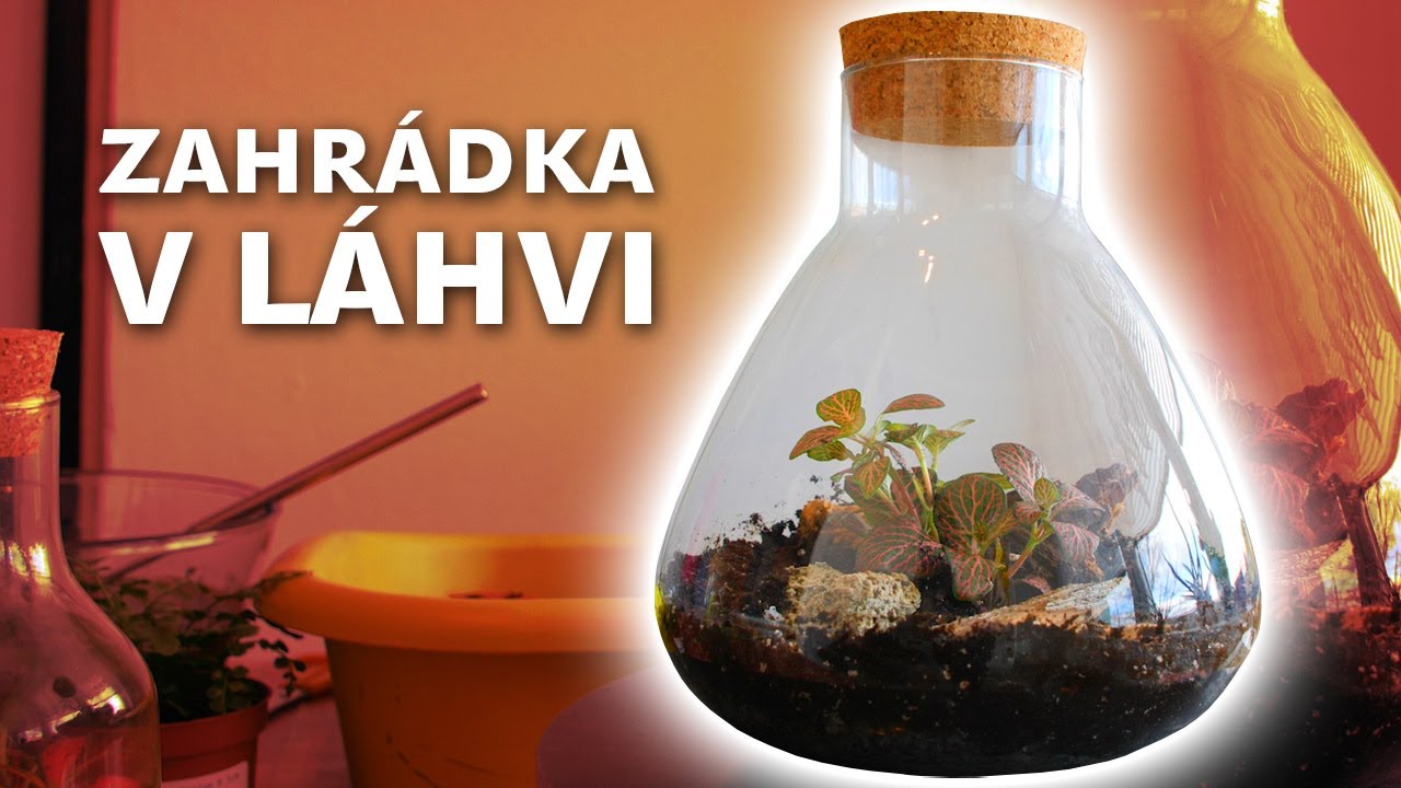 Zahr&aacute;dka v l&aacute;hvi