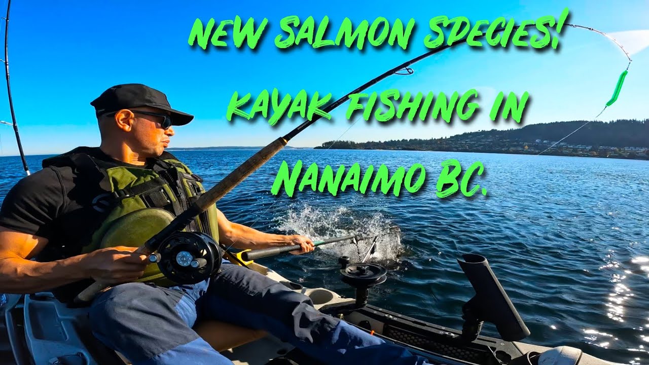 New Salmon Species! Kayak fishing in Nanaimo BC.