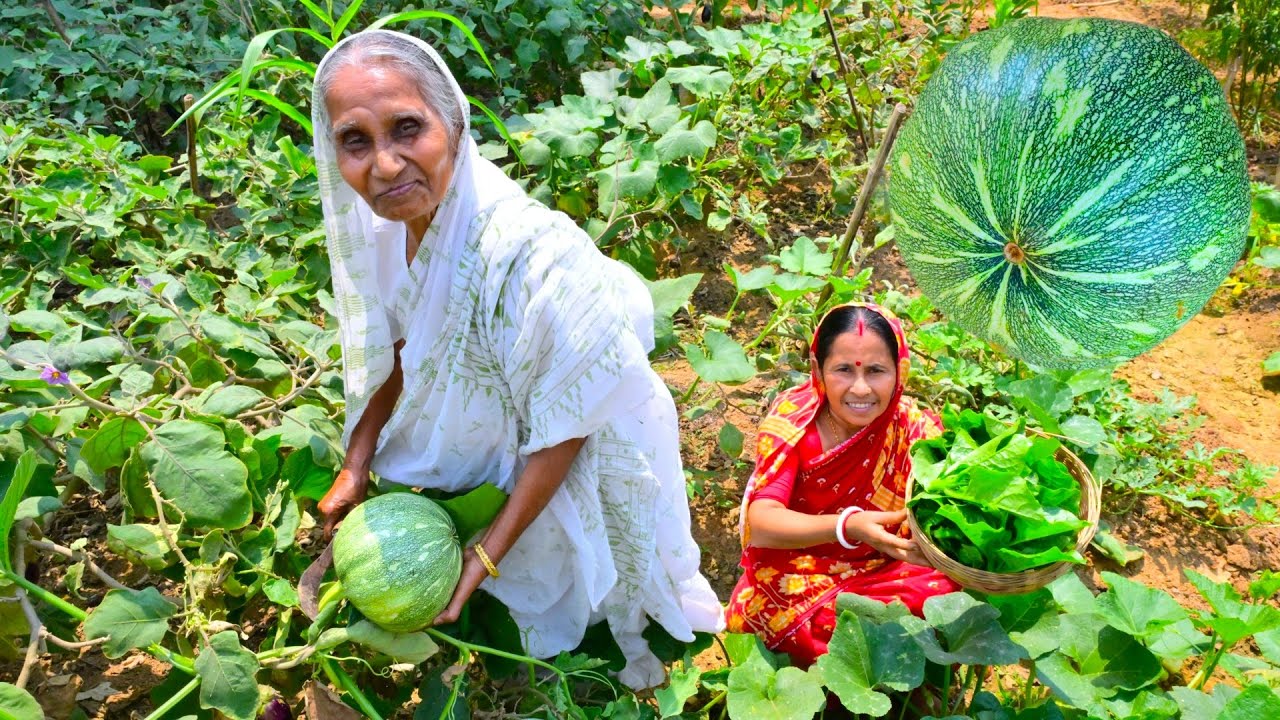 গরমের সেরা বাগানের তাজা পুঁইশাক দিয়ে চিংড়ি রান্না সঙ্গে থানকুনি পাতা দিয়ে আলুর তরকারি | villfood
