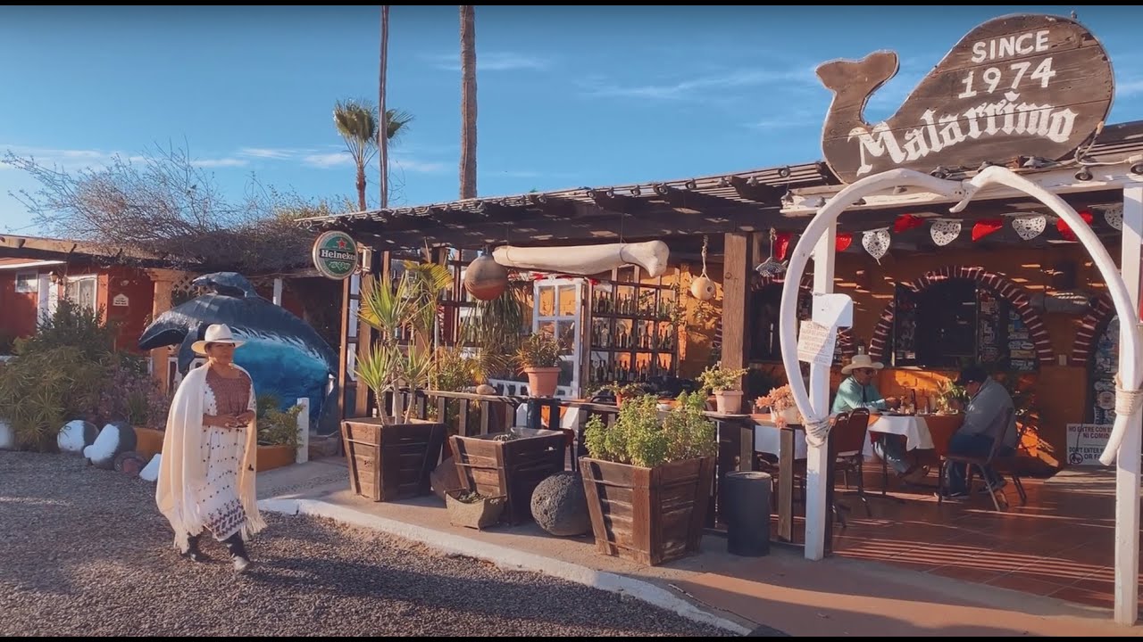 Las Maravillas de Guerrero Negro