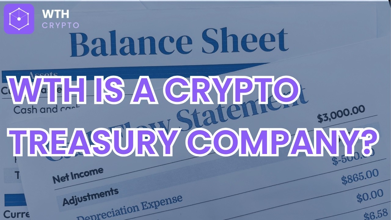 WTH Is a Crypto Treasury Company? (Explained in About 4 Minutes)