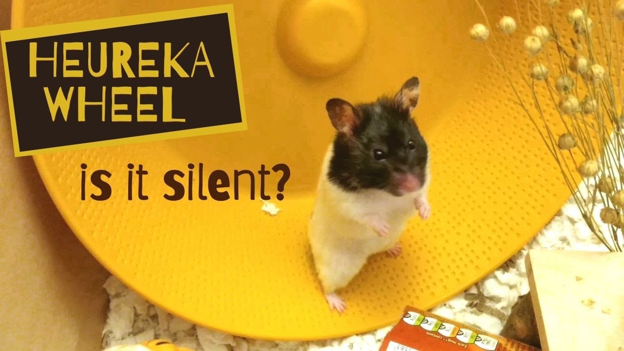 Heureka Rodipet Hamster Wheel Review