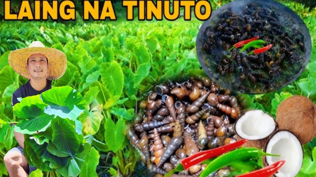 Nagluto kami ni mommy ng laing na tinuto yanung sarap