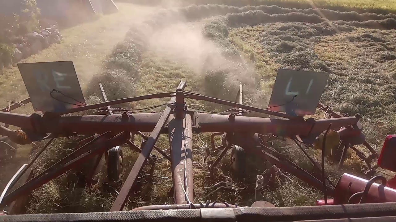 pz ds 5000 super strela beim schwaden in 2 reihen.