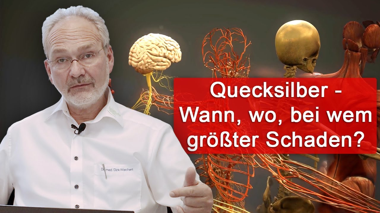 Nervenzellen und Quecksilber - wann, wo und bei wem ensteht größter Schaden? Was kann man tun?