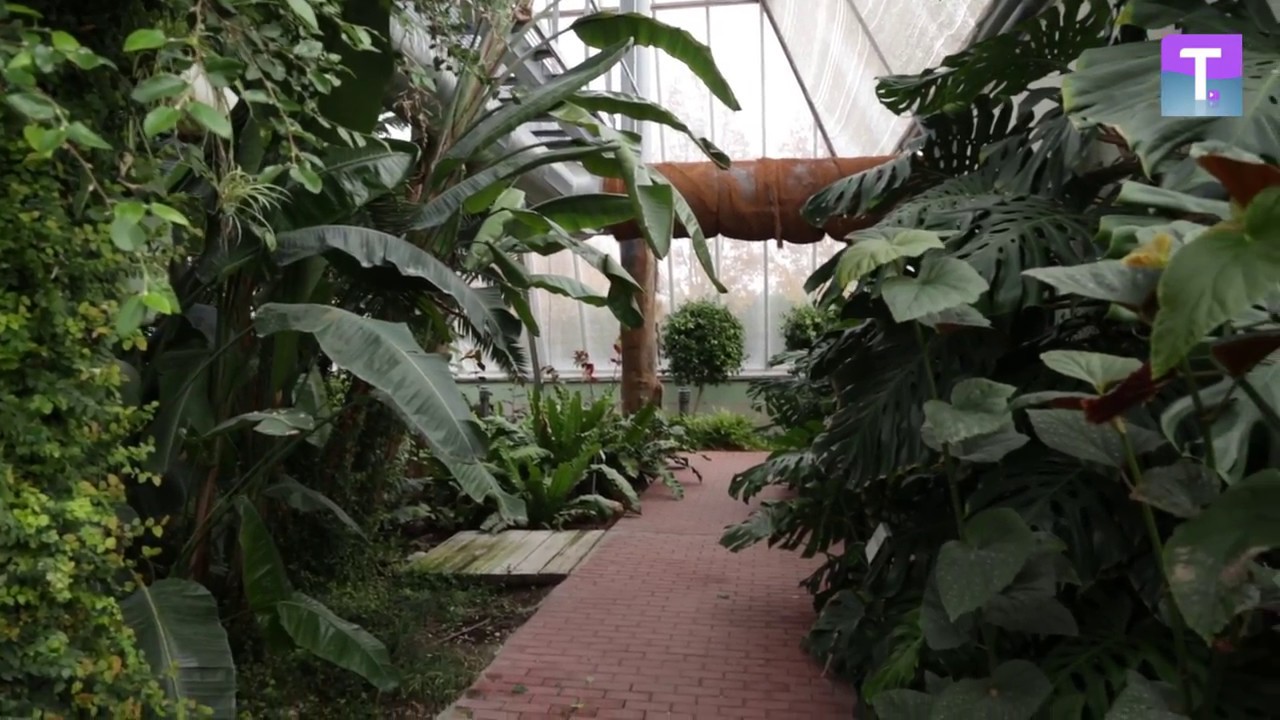 Arroyo de la Encomienda, la ciudad verde con 300 parques que presume de Jardín Botánico. Valladolid.