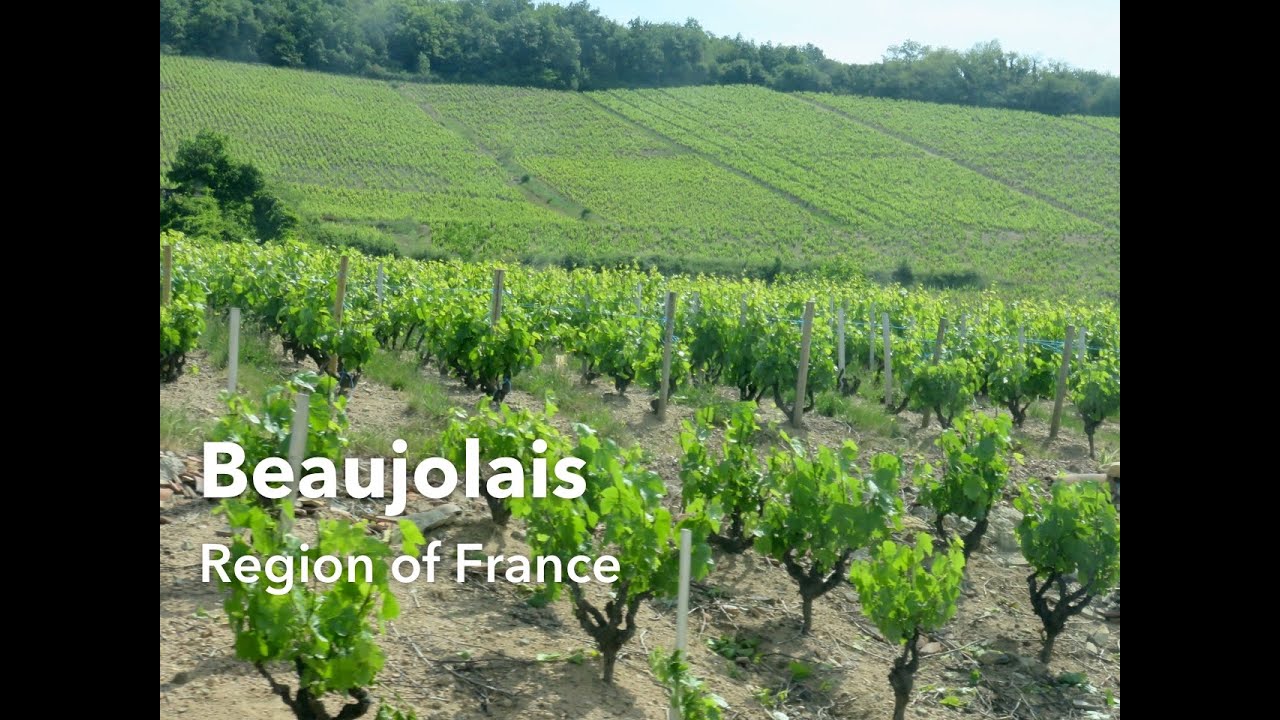 Beaujolais, France - Famous Vineyards