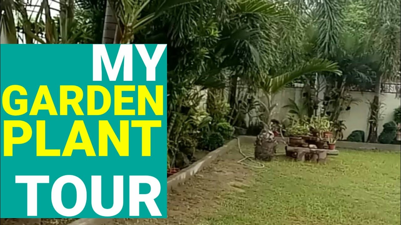 My GARDEN PLANT Tour | Greenhouse Plant Tour