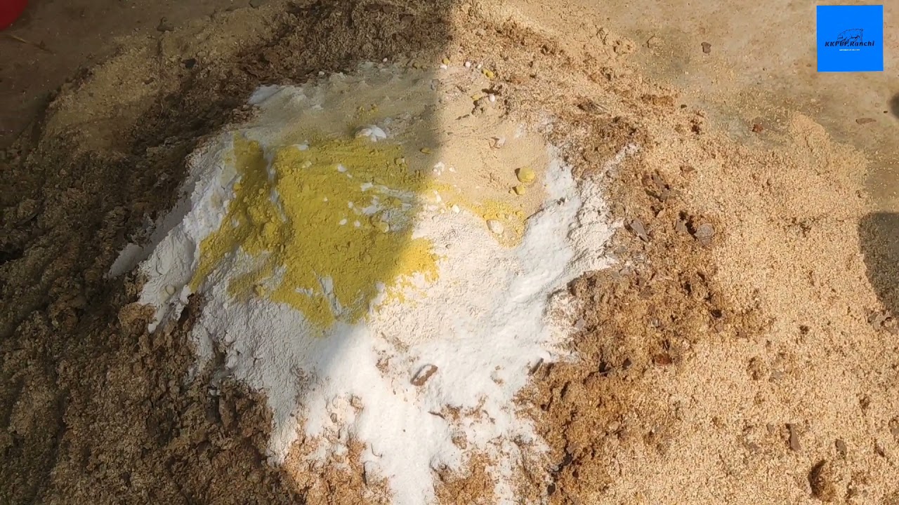 How  to make  low cost finisher feed for pig/सूकर के लिए सस्ता फिनीशर फीड कैसे बनाएं।