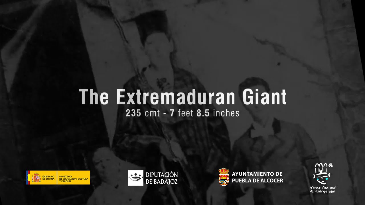 The Extremaduran Giant (235 cmt - 7 feet 8.5 inches ) 3D Model
