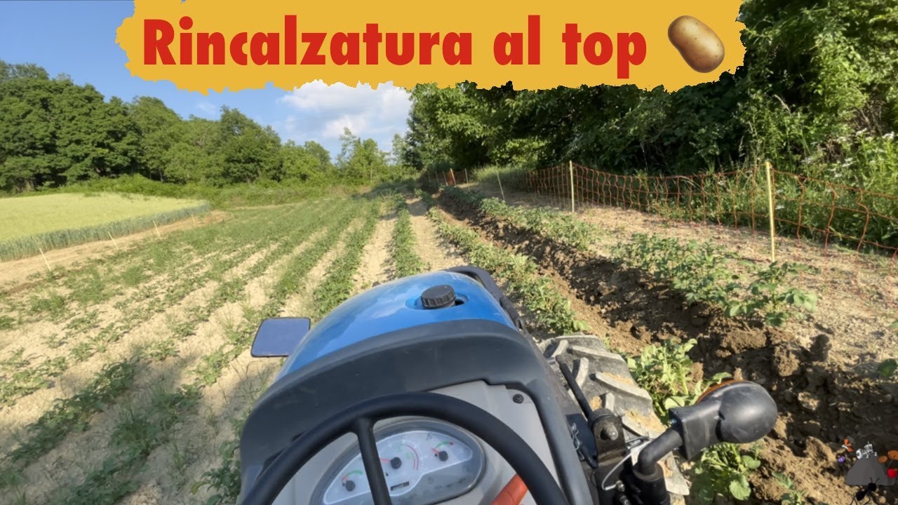 Rincalzatura patate di montagna 🥔 - landini 2-55 con assolcatore auto costruito