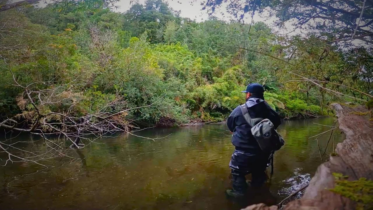 Pesca y Aventura: Descubro un RIACHUELO de MONTAÑA con TRUCHAS ENORMES!