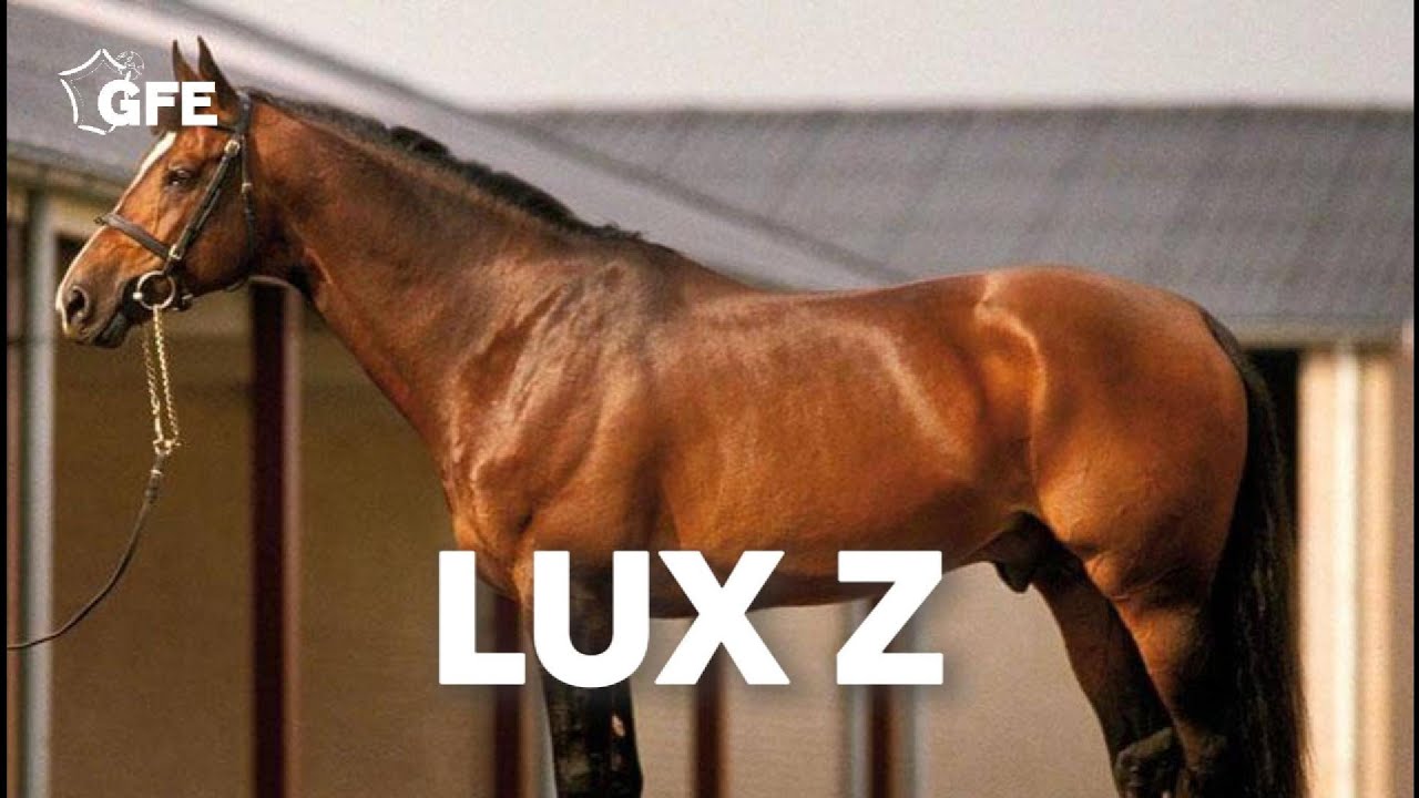 Lux Z