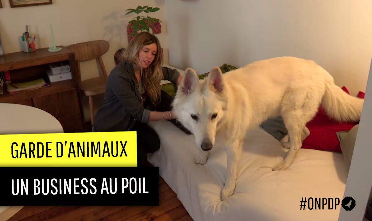 Garde d'animaux : un business au poil