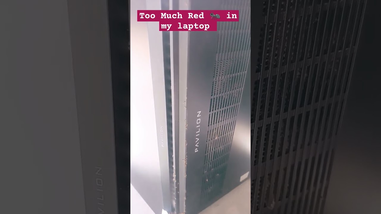 Red ants in my laptop #ants