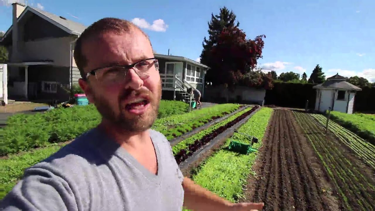 Hi-Rotation Planting: Unleashing the Full Potential of Arugula Yields