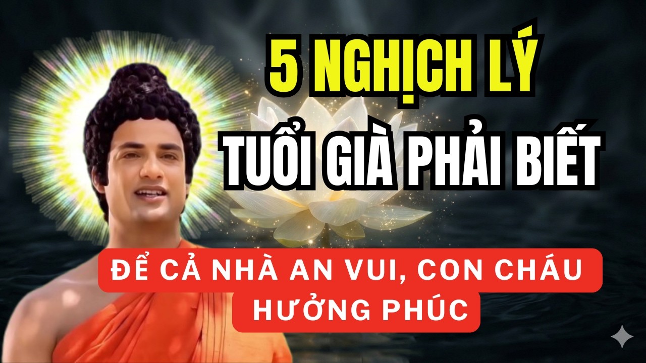 5 Nghịch Lý Đau Lòng Tuổi Xế Chiều: Biết Sớm Để Tự Cứu Mình Trước Khi Quá Muộn