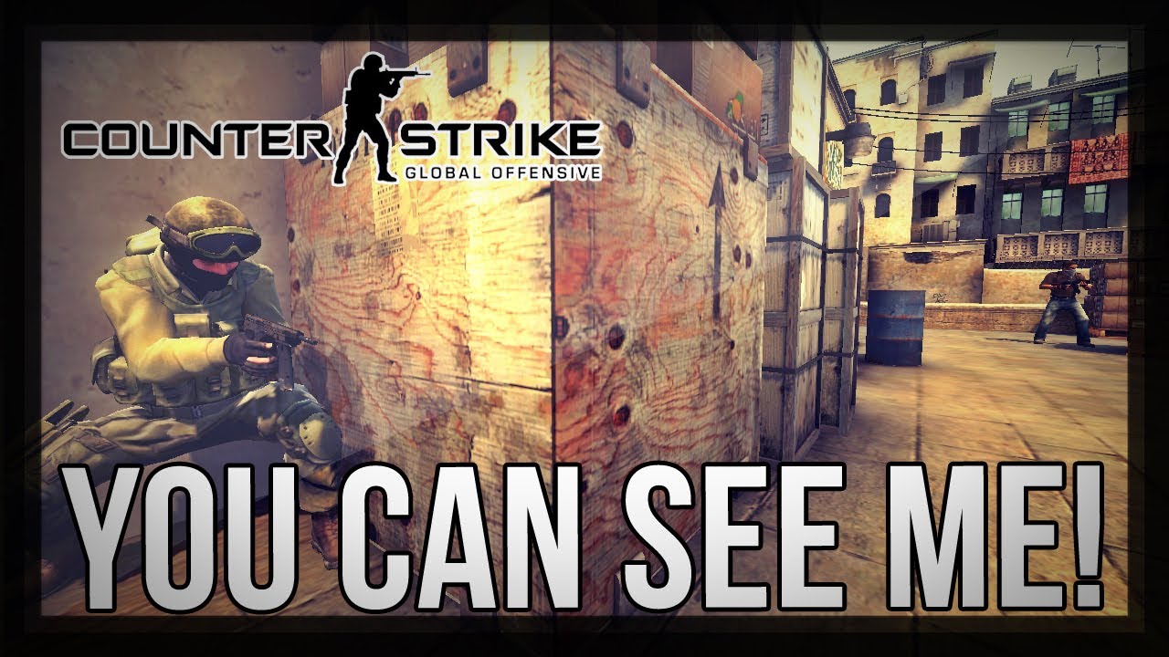 YOU CAN'T SEE ME? - CS:GO