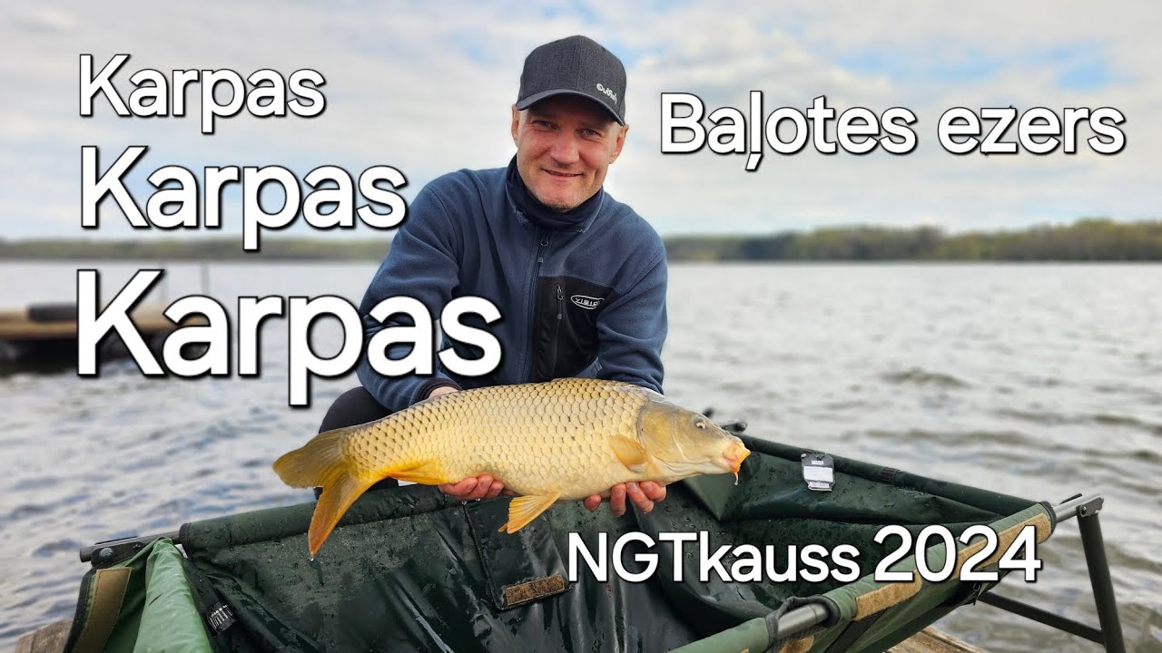 Karpu cope pavasarī. NGTkauss, Baļote