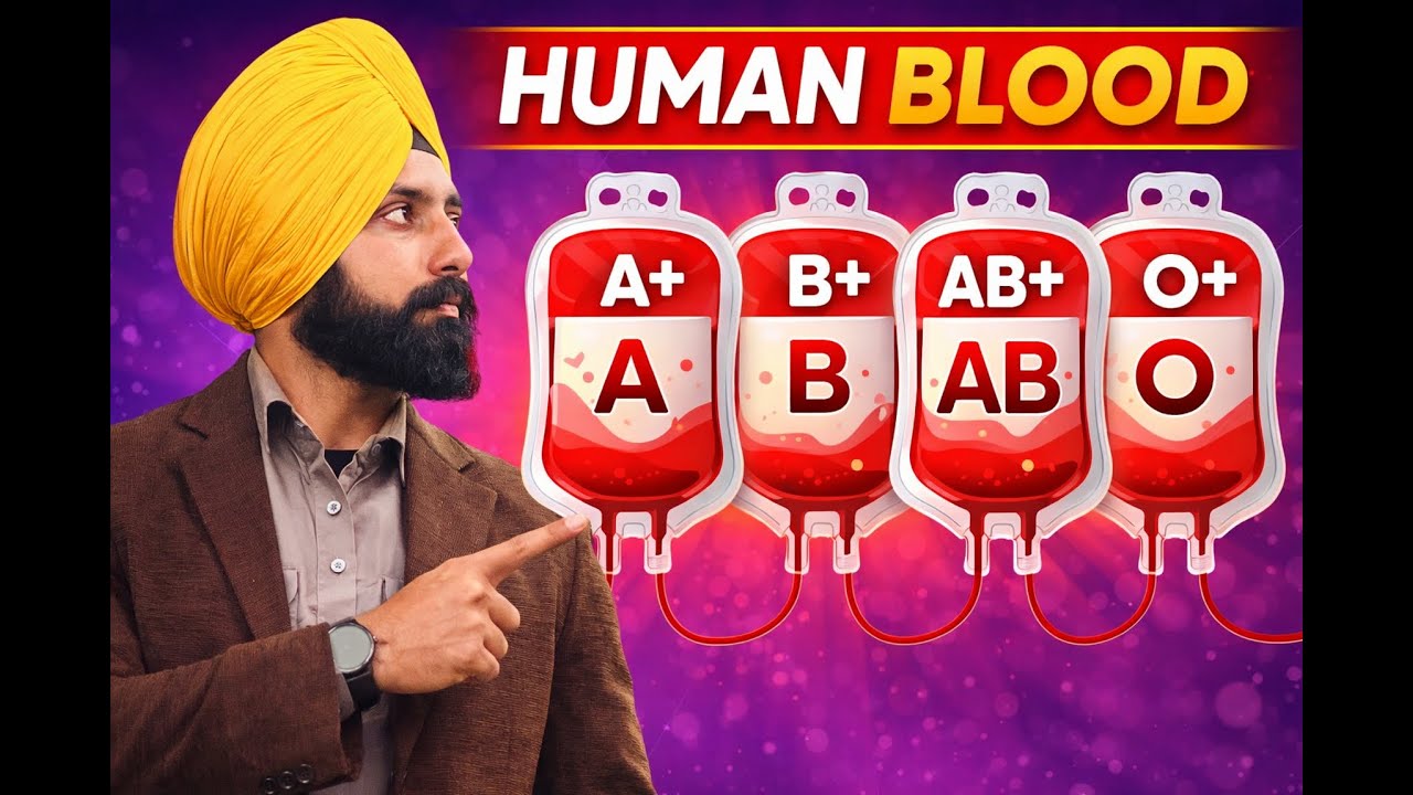 Blood || || PSTET Physical Education || Hostel Suptd Cum PTI || DPE || NVS || KVS ||
