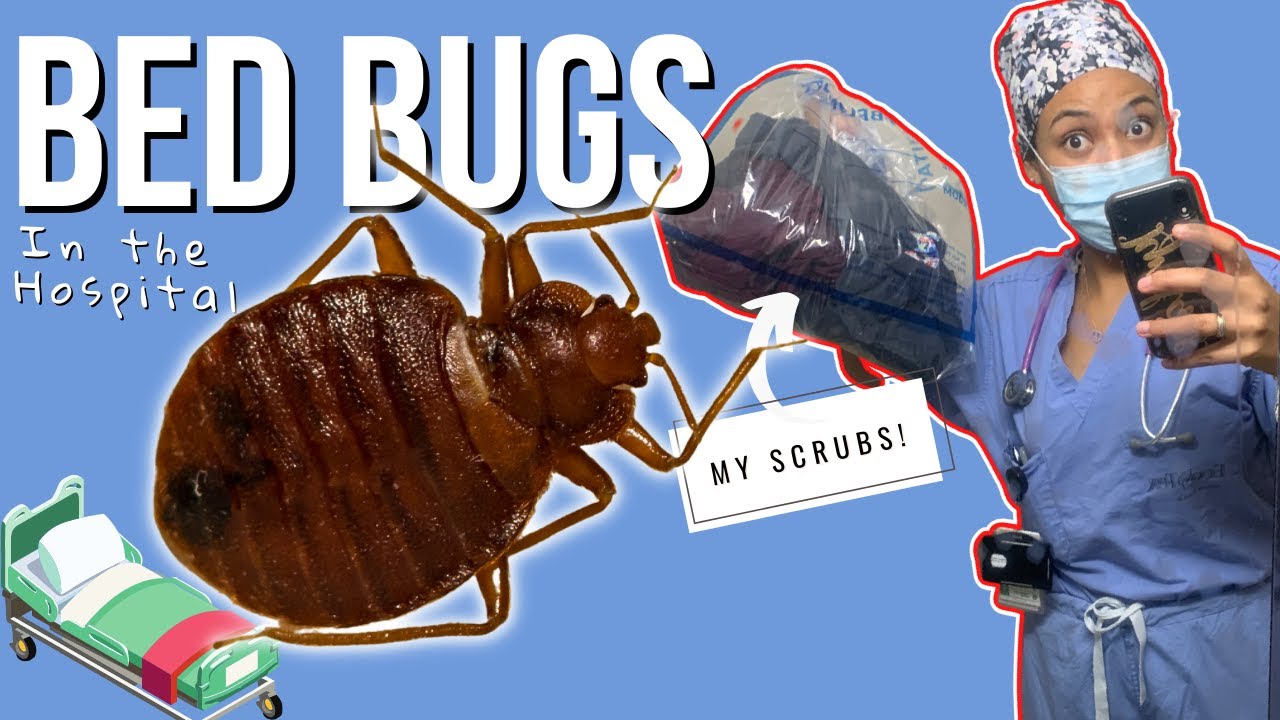 Nursing Vlog -- BED BUGS in the hospital | Nursing RN Student | livinglikelee