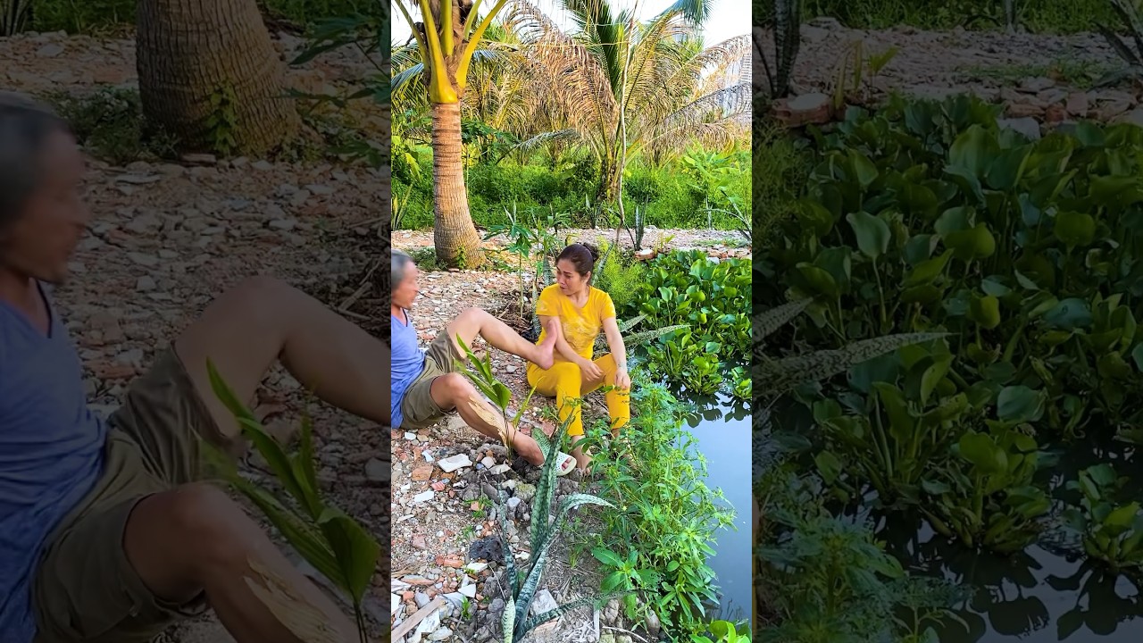 A ngủ với bao nhi&ecirc;u đứa rồi ? #haivui #funny #haivl  #haikichvui #shorts