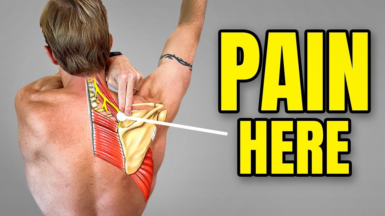 Shoulder Blade Pain Exercises (Upper Trapezius, Levator Scapulae, Cervical Referral)