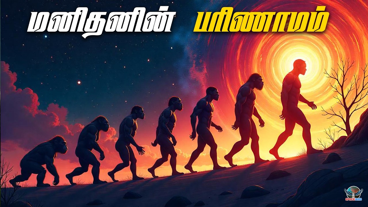 மனிதனின் பரிணாமம் | The Surprising Secrets of Humanity's Origins |  Space bird