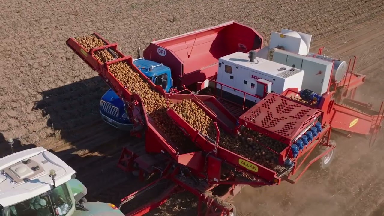Potatoes - From the Field to the Warehouse