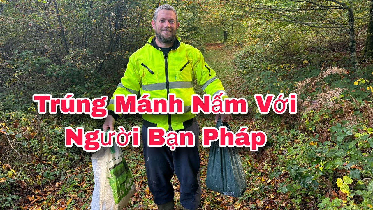HÁI NẤM RỪNG VỚI NGƯỜI PHÁP CÓ NHIỀU KINH NGHIỆM 