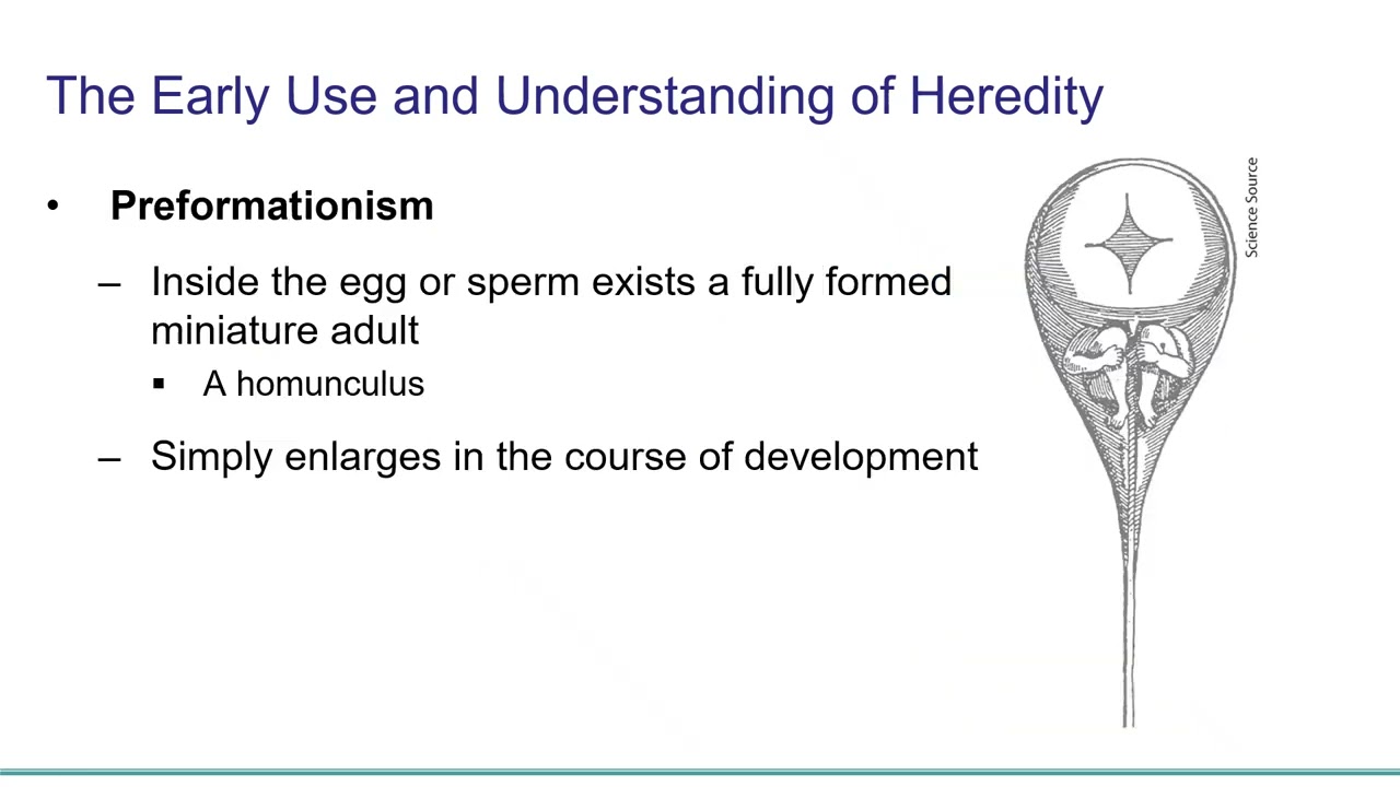 Pierce Chapter 1 Introduction Lecture Part 2 History of Genetics