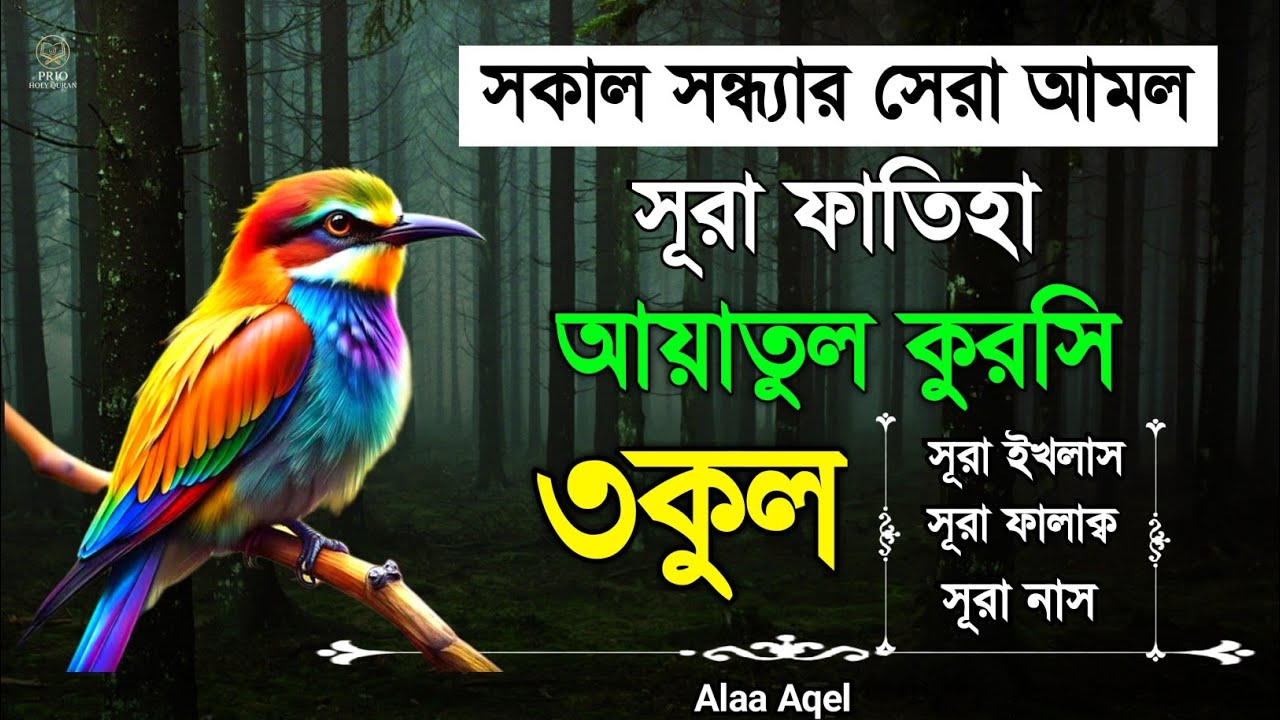 সূরা ফাতিহা আয়াতুল কুরসি ৩কুল | Surah Fatiha Ayatul kursi 3qul | quran recitation | Alaa Aqel |