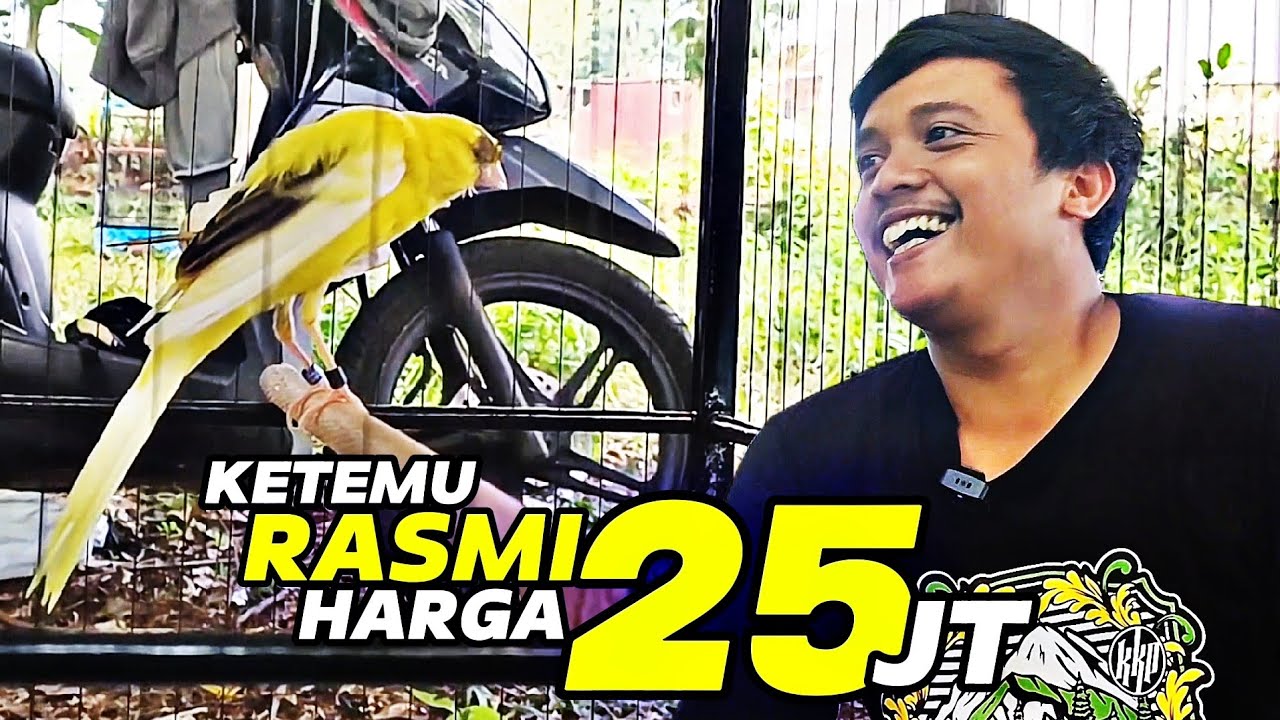 VLOG GANTANGAN‼️Ketemu RASMI 25JT di Kopdar KOMUNITAS KENARI PERBATASAN...