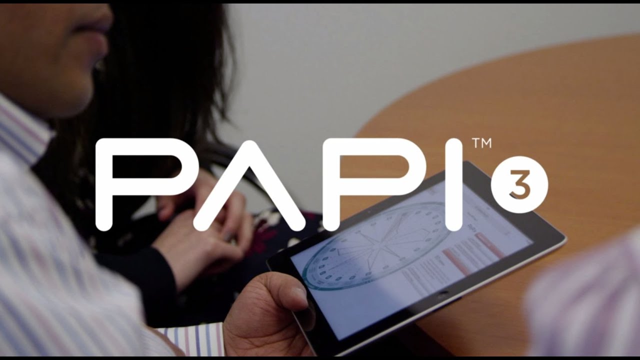 PAPI 3: Insight Matters