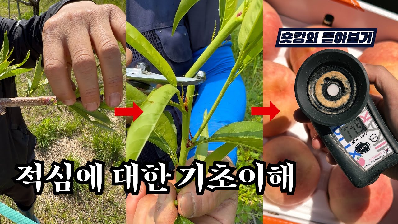 적심에 대한 기초이해 | 숏강의 몰아보기 ⚡️