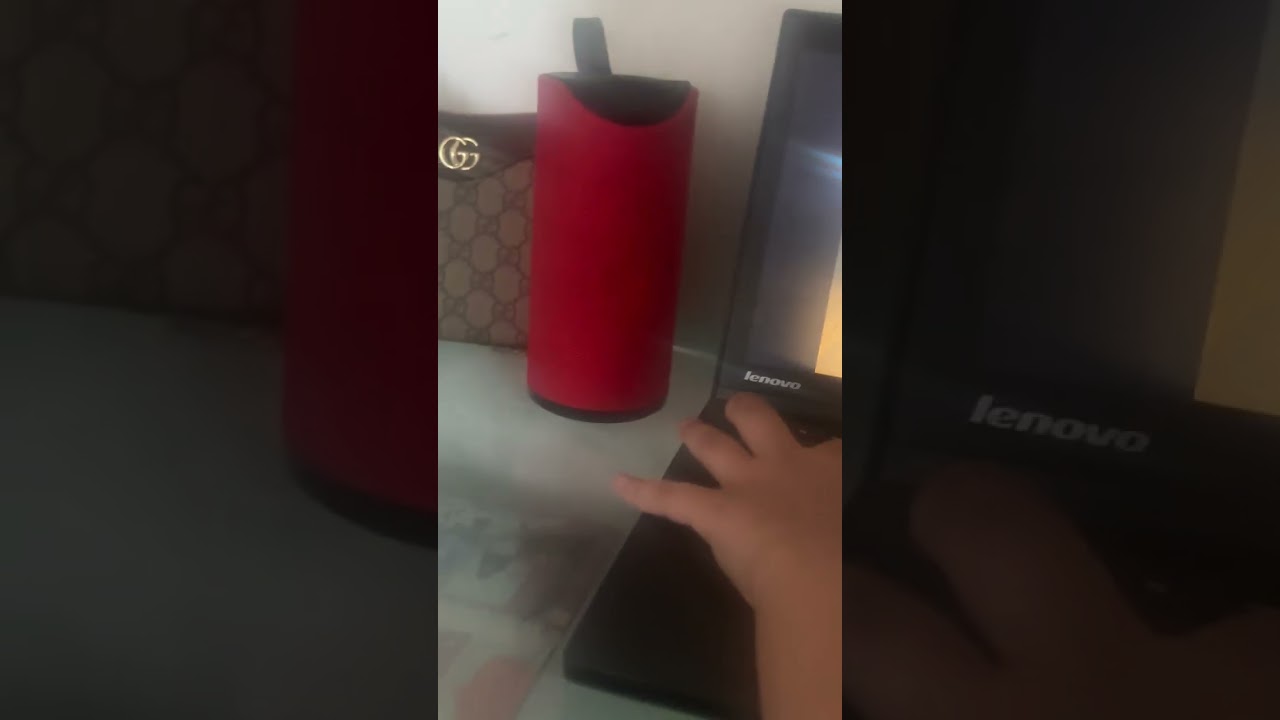 Me and swen are gta5￼