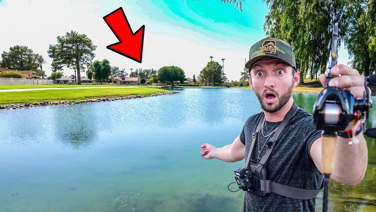 Fishing PRIVATE Neighborhood Ponds for Ferocious Fish