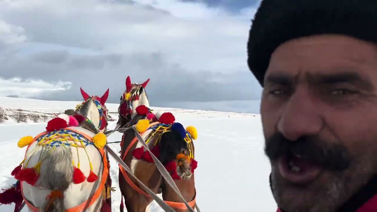 15 Şubat 2026