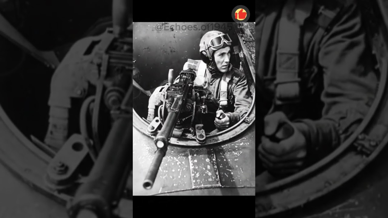 The Deadliest Job in WW2: IL-2 Tail Gunner 🛩