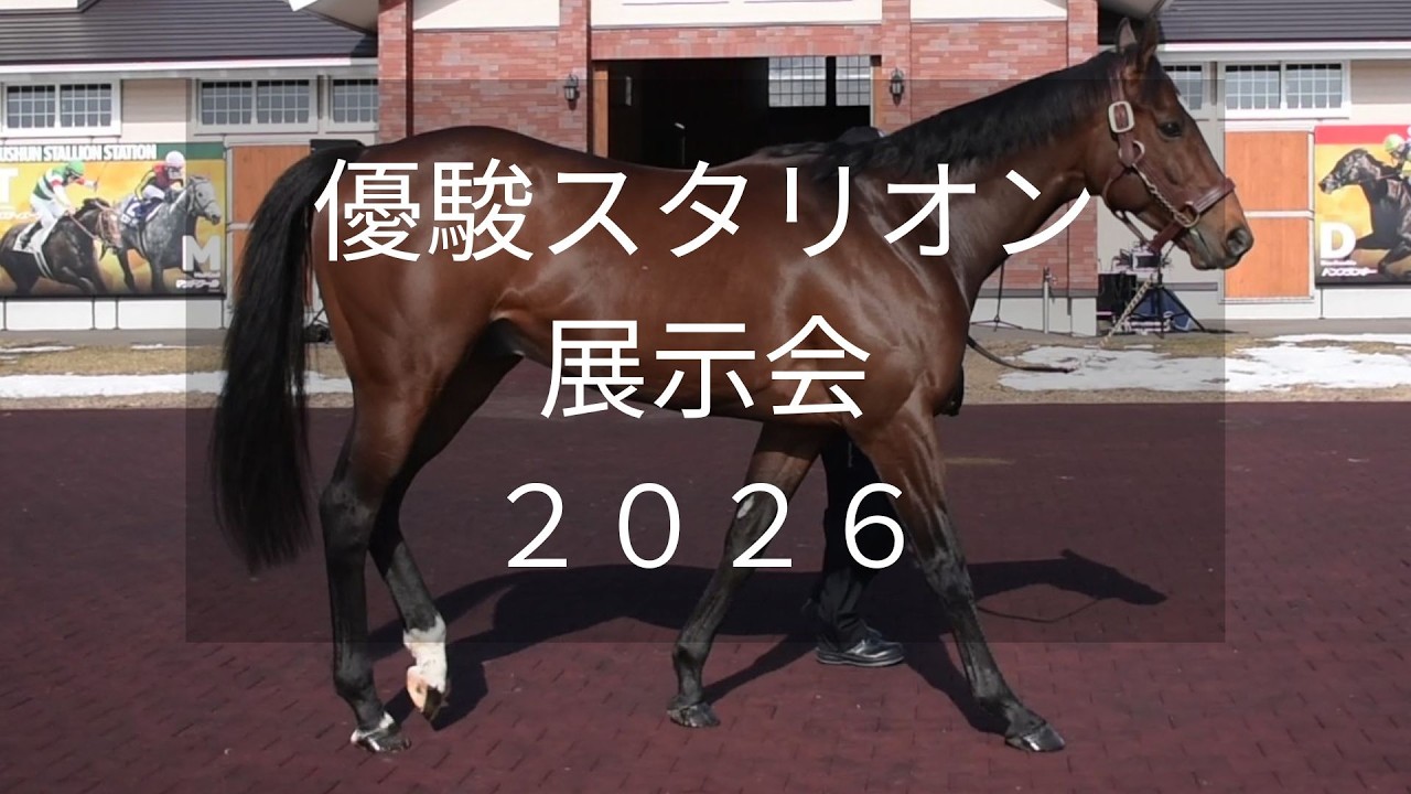 【優駿スタリオン展示会2026】タスティエーラやジオグリフなど28頭が登場！