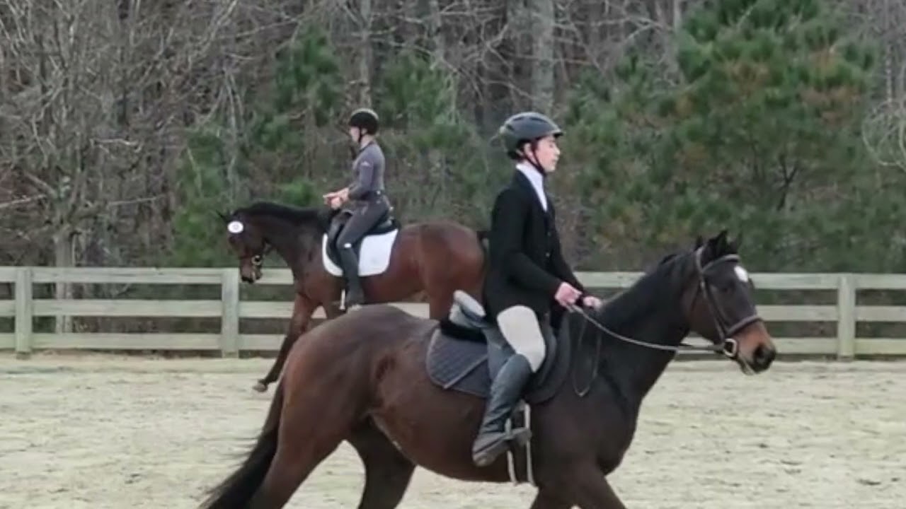 Zenith Vayda | Schooling in busy Dressage Warm Up | Chatt Hills | December 2020