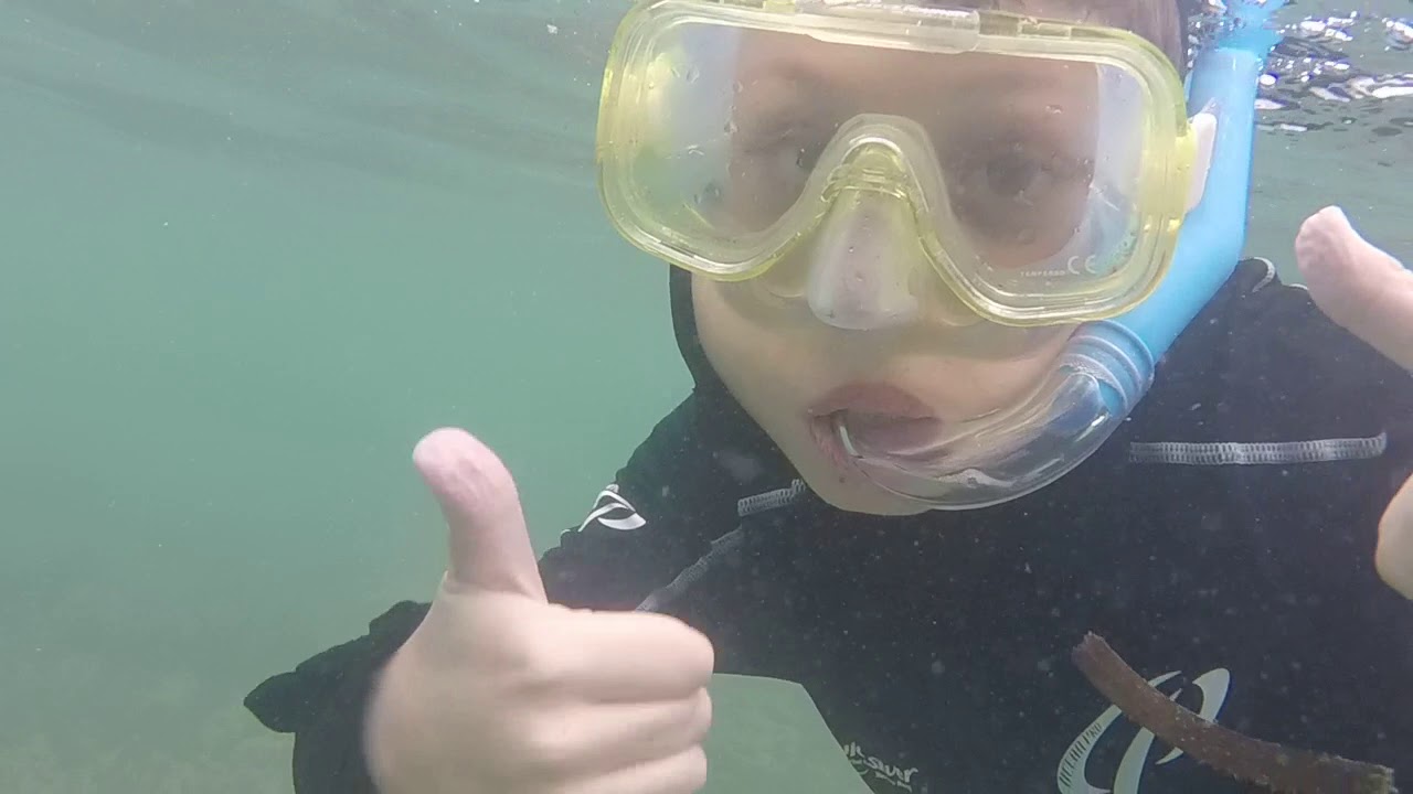 Kid Friendly Snorkeling at Green Island: Great Barrier Reef. Cairns, Australia