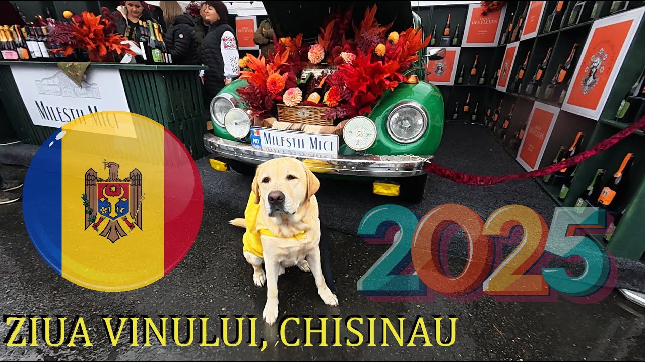 🍇🇲🇩 ДЕНЬ ВИНА / Wine day 2025 / Ziua Vinului Republica Moldova