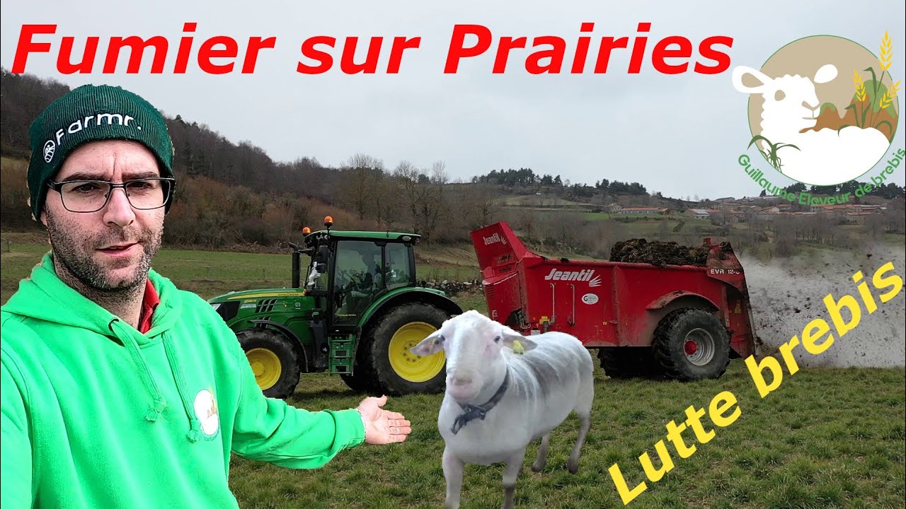 Fumier sur prairies & mise en lutte des brebis, tri d'agnelles N°52