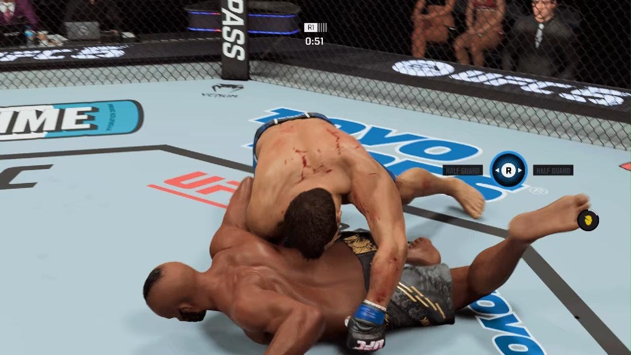 UFC Title Fight
