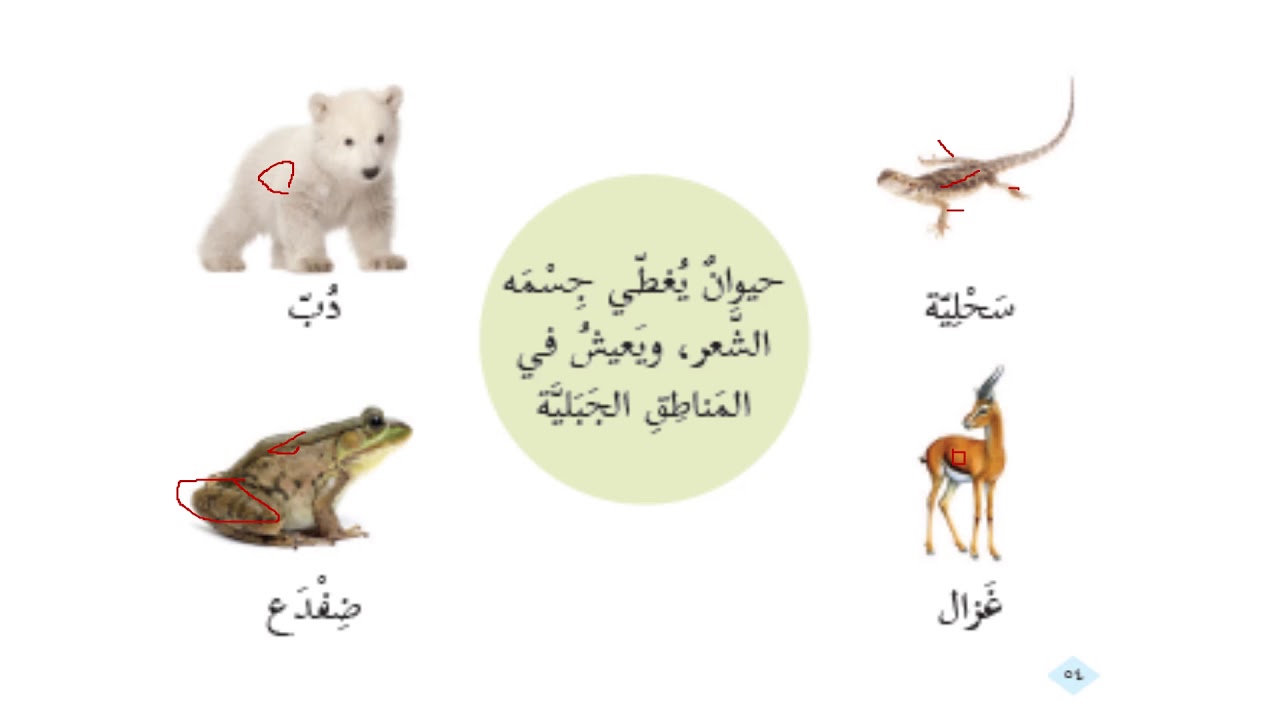 الصف الأول - التربية الوطنية والحياتية - الدرس الثاني - الحيوانات مفيدة