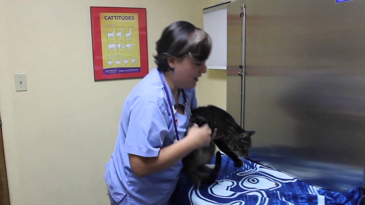 How to give liquid medication