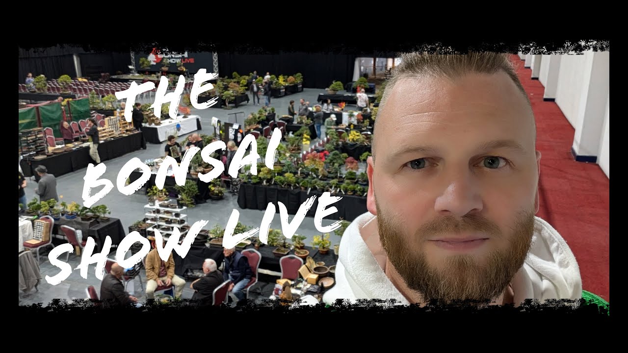 День на выставке Bonsai Show Live. Я встретил Питера Чана!