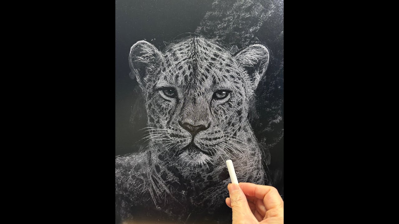 一隻粉筆畫黑板blackboard drawing