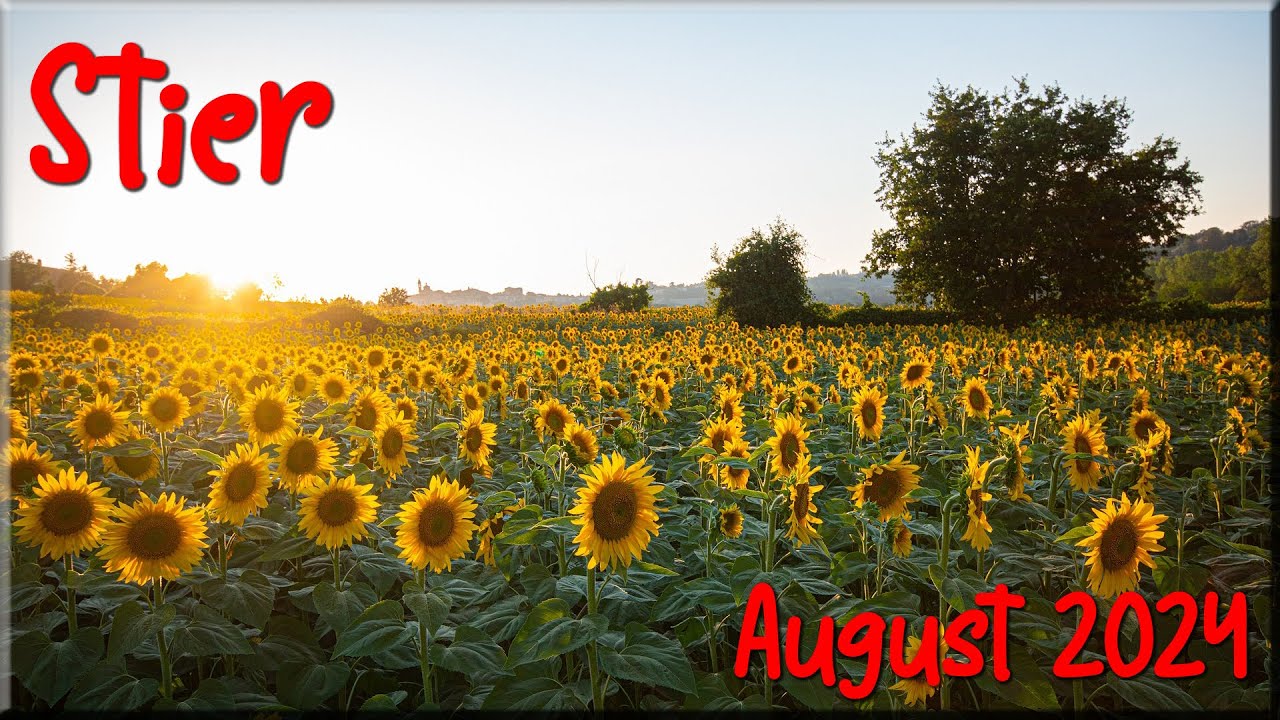 ♉ Stier - August 2024 ♉  -  Ach jetzt auf einmal  -
